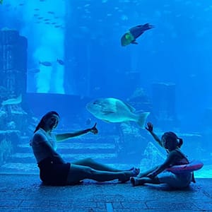 Explore DubaiâS Lost Chambers Aquarium: Tickets For One, Two, Or Four Dubai Shafqa.com Online Shopping, Best Prices in Dubai UAE
